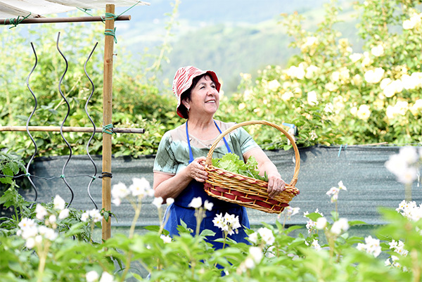 Can a Healthy Diet Can Lower the Risks of Hearing Loss a woman standing outside and holding a basket of cabbage