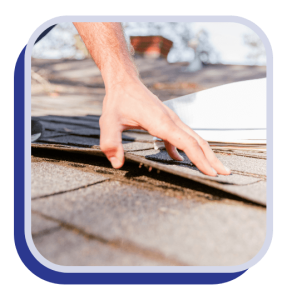 Roof Inspection Section 2 Static Image