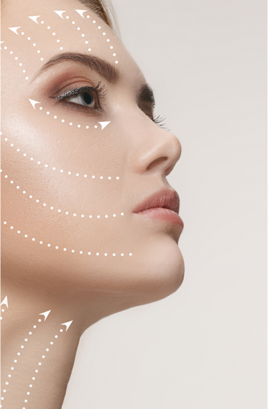 Front Cover Image