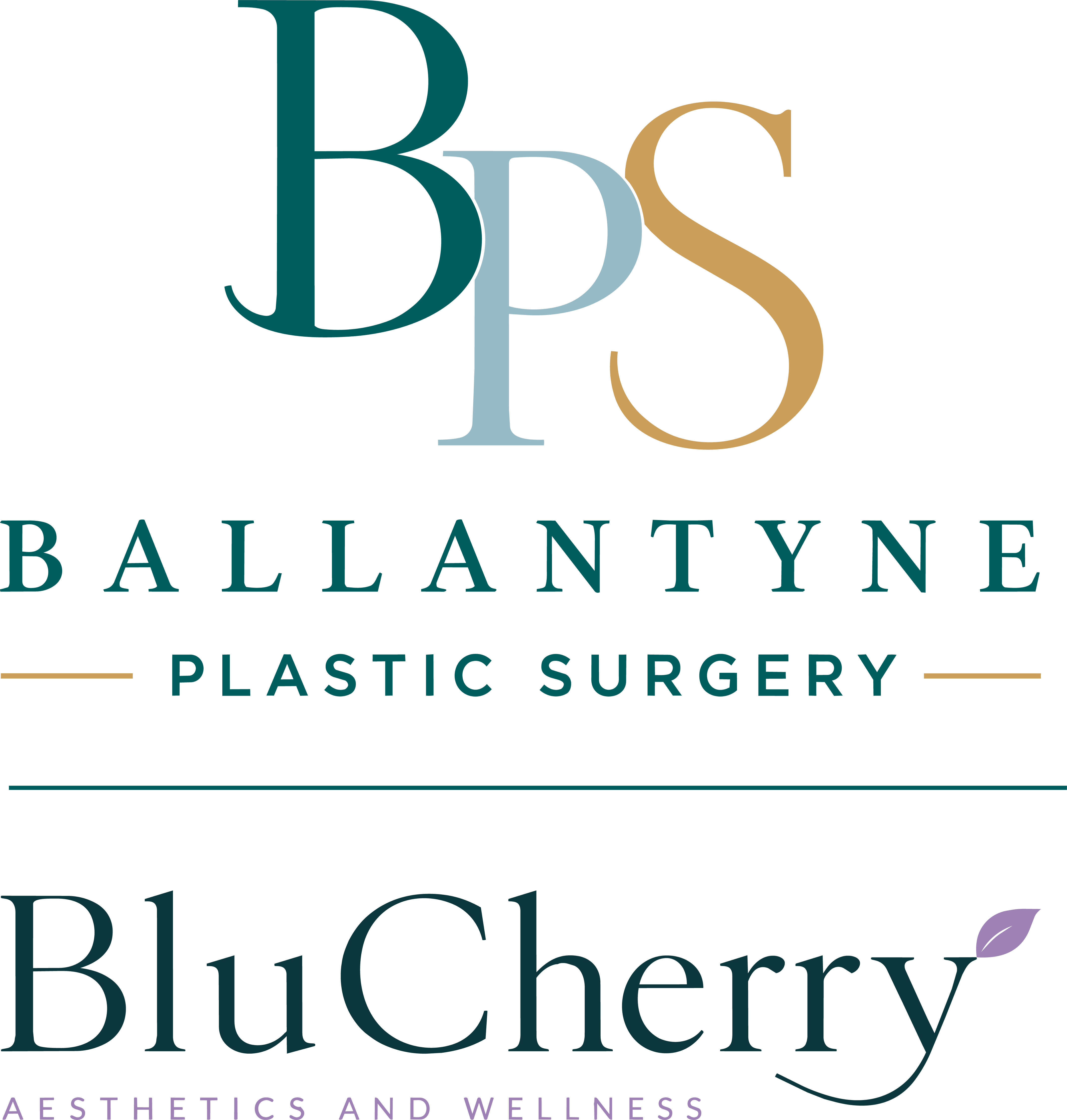 Bluecherry Logo Comb 2
